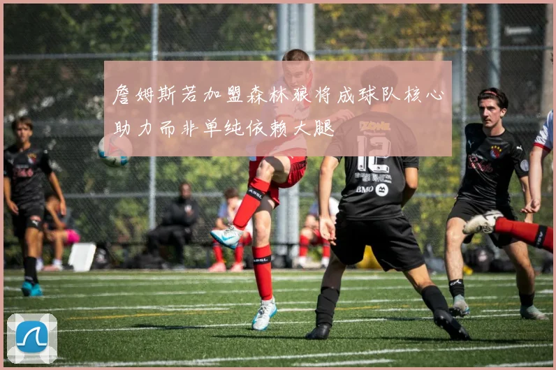 詹姆斯若加盟森林狼将成球队核心助力而非单纯依赖大腿